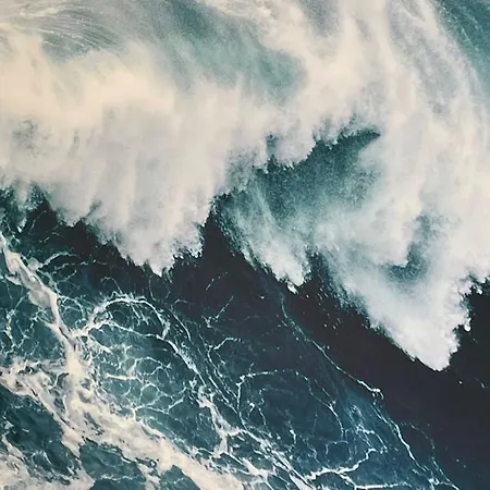 Apartment Sea Rose *